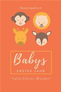 Babytagebuch Babys Erstes Jahr Hallo Kleines Wunder