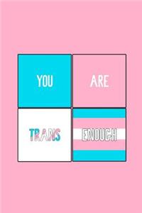 You Are Trans Enough