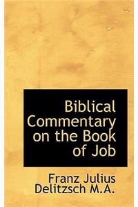 Biblical Commentary on the Book of Job