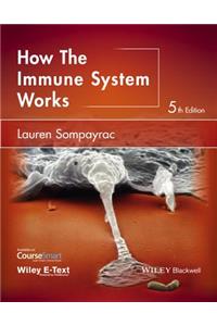 How the Immune System Works