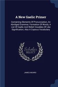 A New Gaelic Primer