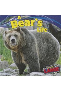 Bear's Life