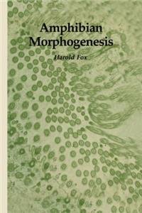 Amphibian Morphogenesis