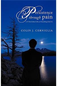 Persistence Through Pain: A Novel about Life, or Something Like It