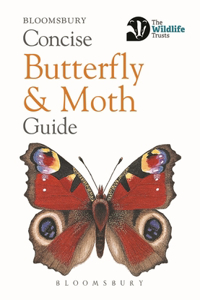 Concise Butterfly and Moth Guide