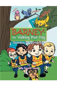 Barney - the 'Walking Bus' Dog