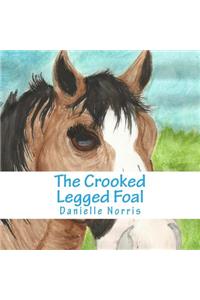 The Crooked Legged Foal