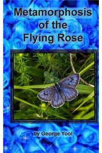 Metamorphosis of the Flying Rose