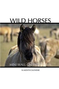 Wild Horses Mini Wall Calendar 2016 16 Month Calendar