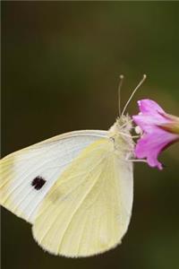 White Butterfly Journal