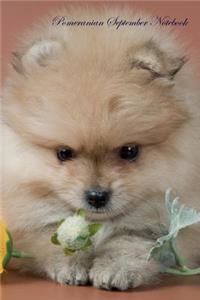 Pomeranian September Notebook Pomeranian Record, Log, Diary, Special Memories, To Do List, Academic Notepad, Scrapbook & More