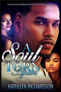 Soul Torn Apart