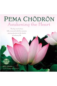 Pema Chodron 2021 Wall Calendar