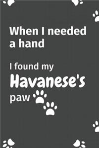 When I needed a hand, I found my Havanese's paw