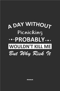 A Day Without Picnicking Probably Wouldn't Kill Me But Why Risk It Notebook