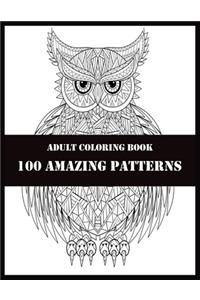 Adult Coloring Book 100 Amazing Patterns