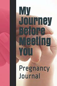 My Journey Before Meeting You