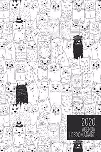 2020 Agenda Hebdomadaire: Collection de chats fous - Planificateur d'un an avec vues journalières / mensuelles, traqueur d'habitude, tableau de vision, pages avec grille