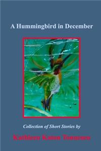 Hummingbird in December