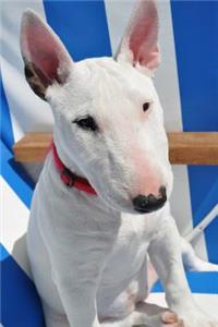 White Bull Terrier Sitting in a Beach Chair Journal