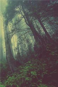 Journal: Forest 6x9 Lined Journal Notebook 200 Pages