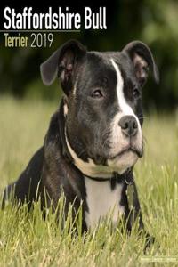 Staffordshire Bull Terrier Calendar 2019