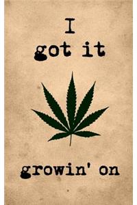 I Got It Growin' on