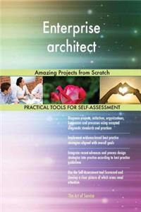Enterprise architect