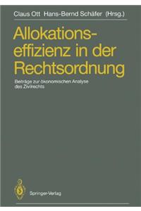 Allokationseffizienz in der Rechtsordnung