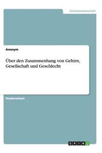 Über den Zusammenhang von Gehirn, Gesellschaft und Geschlecht