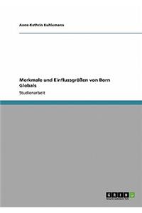 Merkmale und Einflussgrößen von Born Globals
