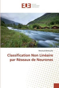 Classification Non Linéaire par Réseaux de Neurones