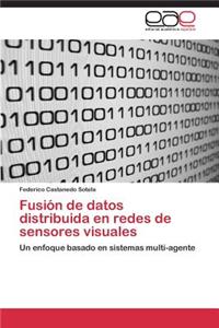 Fusión de datos distribuida en redes de sensores visuales