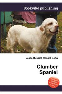Clumber Spaniel