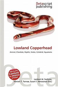 Lowland Copperhead