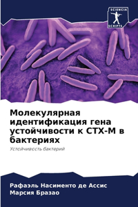 Молекулярная идентификация гена устойчи&