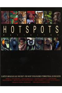 Hotspots Revisited
