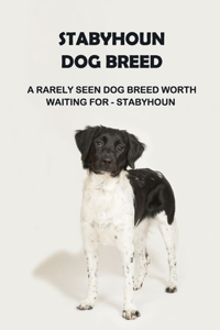 Stabyhoun Dog Breed