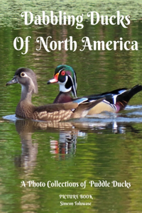 Dabbling Ducks of North America A Photo Collection of Puddle Ducks Picture Book