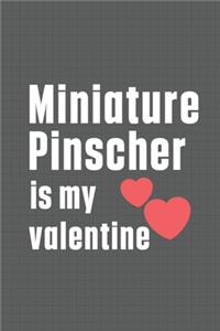 Miniature Pinscher is my valentine