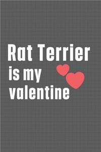 Rat Terrier is my valentine