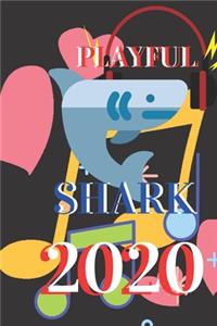 Playful shark 2020