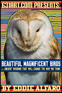 Beautiful Magnificent Birds