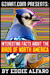 Interesting Facts About the Birds of North America