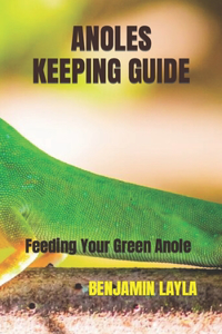 Anoles Keeping Guide