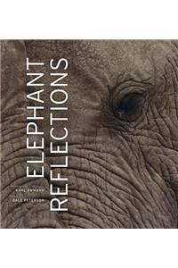 Elephant Reflections