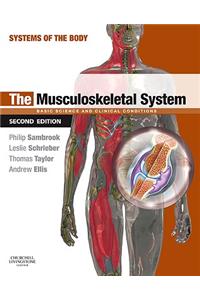 The Musculoskeletal System