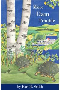 More Dam Trouble