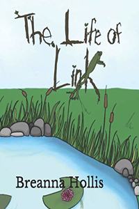 The Life of Link