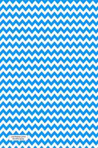 Lined Notebook Journal Blue White ZigZags